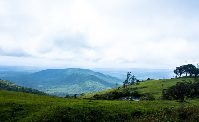 2025年全国青少年足球竞赛日历公布.