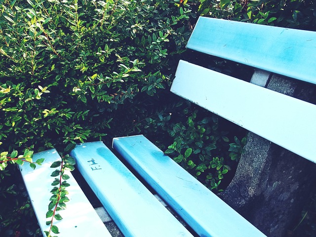 中锋派上场 中锋派上场